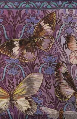 Красивые бабочки и сиреневые цветы, на деревянном фоне :: Стоковая  фотография :: Pixel-Shot Studio