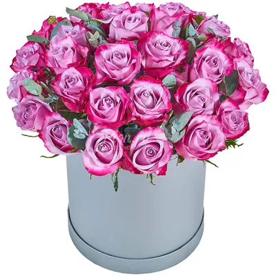 Букет из 51 местной сиреневой розы сорта Моди Блюз | купить 51 сиреневую  розу