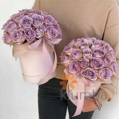 Тёмно-фиолетовые розы в коробке за 4 790 руб. | Бесплатная доставка цветов  по Москве