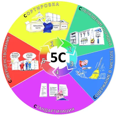 Система 5S - пять шагов к идеальному рабочему месту