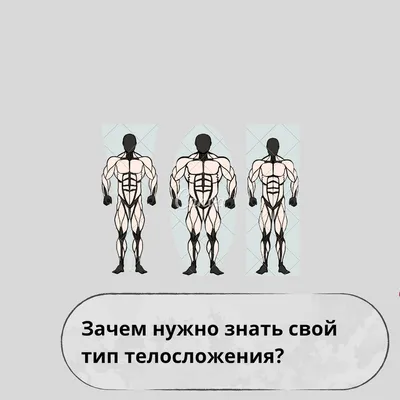 Динамическая тренировка от Александра Засса. Упражнения с мешком | Движение  во здравие | Дзен