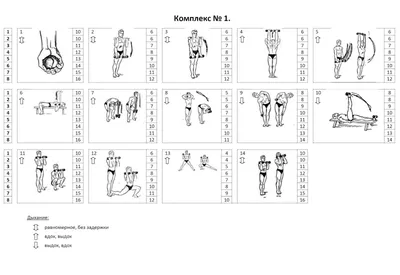 Гантельная гимнастика евгения сандова комплекс упражнений в картинках:  Гантельная гимнастика Евгения Сандова: комплекс упражнений в картинках |