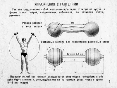 Гантельная гимнастика евгения сандова комплекс упражнений в картинках:  Гантельная гимнастика Евгения Сандова: комплекс упражнений в картинках |