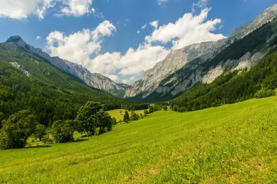 Скачати картинки про природу фотографии