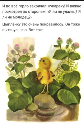 Чтение сказки К. Чуковского «Цыплёнок».