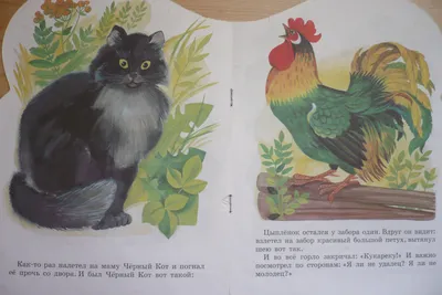 Сказка чуковского цыпленок с картинками
