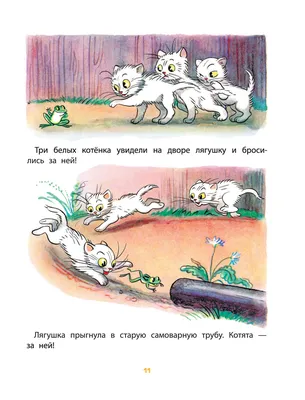 Сутеев В. Г.: Сказки в картинках: купить книгу в Алматы | Интернет-магазин  Meloman