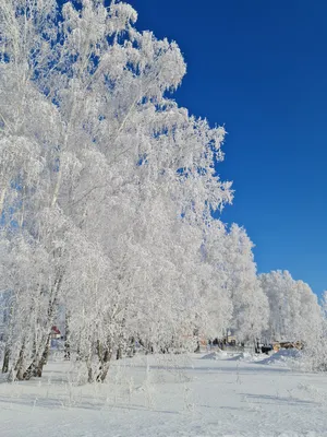 Сказочные зимние картинки - 66 фото