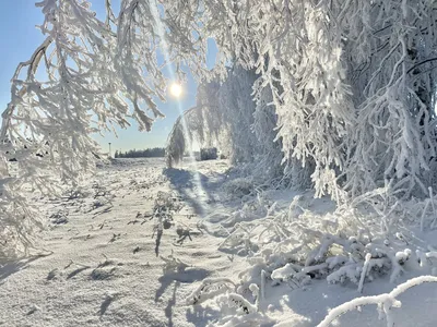 Сказочные зимние картинки - 66 фото