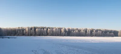 Сказочная зима». Фотоотчет (10 фото). Воспитателям детских садов, школьным  учителям и педагогам - Маам.ру