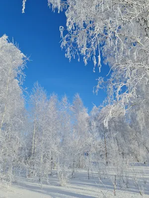 Волшебная сказочная зима, первый день…» — создано в Шедевруме