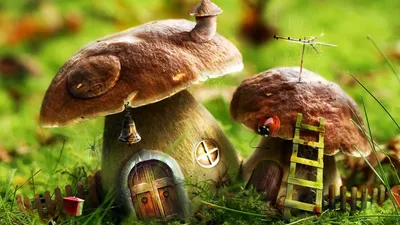 Картинки сказочные домики, сказка, избушки, грибы - обои 2560x1440,  картинка №173902