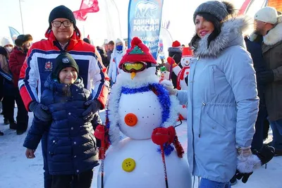 Сказка Пять зимних секретов для мальчика Саши от Снеговика (Россия, Анна  Андреевна Слюнченко). Скачиваете FB2.