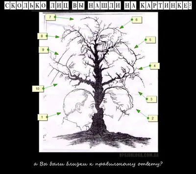 Проверьте свою внимательность: сколько лиц вы видите на картинке? | Лицо,  Картинки, Тесты личности
