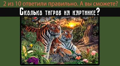 Пазл 1000 эл. ТРИ СОВЫ \"Амурский тигр\" купить оптом