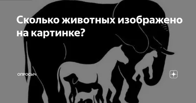 Бразильский тест на деменцию: проверьте себя, найдите 6 животных на картинке  | Вокруг Света