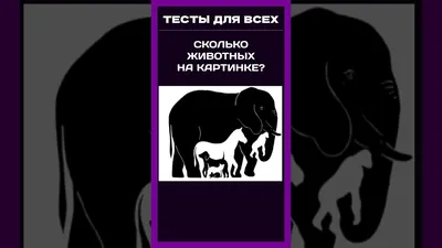 Такие разные животные. Загадки-головоломки. Керстин Робсон - «Сколько  разных и красивых картинок разных животных!!! Учимся, играя и рассматривая!  Отличная книжка на тренировку внимания и концентрации ребёнка! + Фотографии  всех разворотов.» | отзывы