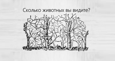 Только 10% людей могут найти всех животных на картинке! | Пикабу