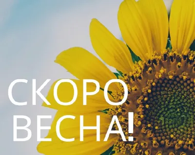 Скоро весна, пора гулять 💛 | Instagram