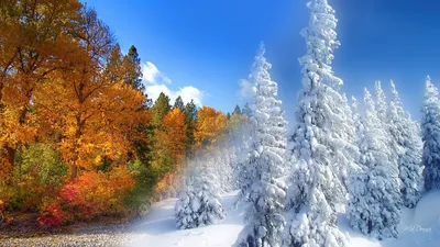 ❄️ Уже совсем скоро... Зима.. Фото из личного архива - январь 2022 года.  #mostovskoynews #mostnews_природа | Instagram