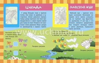 Английские слова для детей. Начальная школа | Начальная школа, Обучение  чтению, Слова