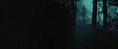 Слендермен (2018, фильм) - «Новый ужастик, основанный на реальных событиях  и ожившей городской легенде. Откуда взялся Слендермен и что не так с  фильмом?» | отзывы