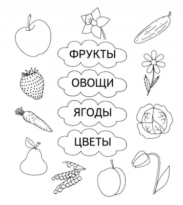 Прочитай слова, найди подходящие картинки | Для детей, Визуальные сенсорные  развлечения, Обучение