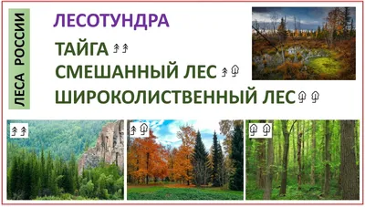 Конспект проведения комплексного занятия по экологическому, нравств