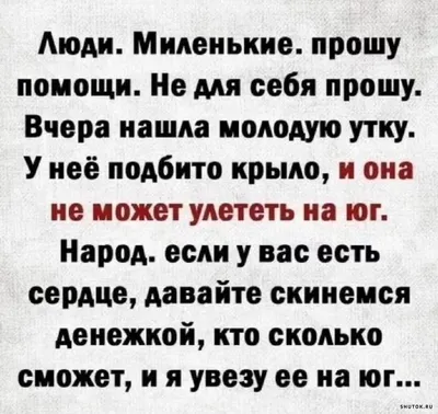 Анекдоты с юмором в понедельник и на что класть болт | Mixnews