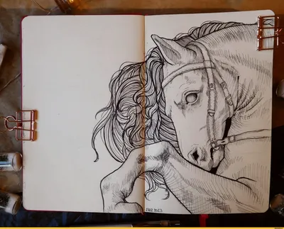 Freehand чертеж карандаша головы лошади Иллюстрация штока - иллюстрации  насчитывающей наконечников, график: 143610144
