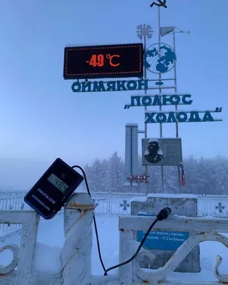 Снеговик Симпатичные Смешные Снеговики В Зимней Одежде С Подарком И Снежком  На Открытом Воздухе Рождество И Счастливый Новый Год Поздрав — стоковая  векторная графика и другие изображения на тему Птица - iStock