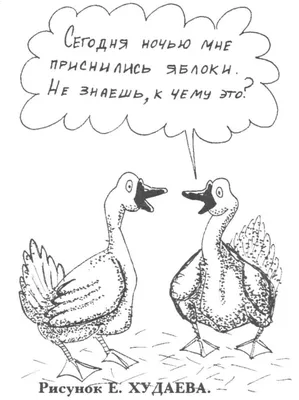 ненавижу дачников / смешные картинки и другие приколы: комиксы, гиф  анимация, видео, лучший интеллектуальный юмор.