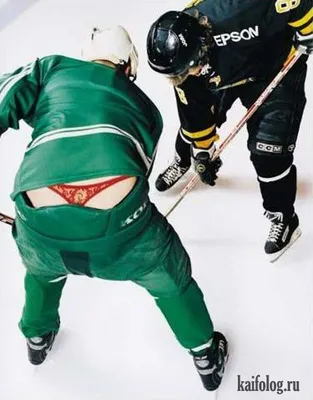 Смешные хоккеисты шаржа играют хоккей на льде Иллюстрация вектора -  иллюстрации насчитывающей бой, льдед: 85068736