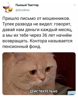 Что делать, если ты вышел на пенсию, но всё ещё не знаешь, кем ты хочешь  быть в 2023 г | Смешные высказывания детей, Веселые картинки, Смешные гифки