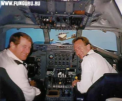 Дикие поступки пассажиров на борту самолета: смешные и жуткие фото  пользователей Сети