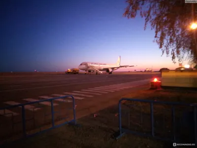 Дебош на борту: россиянка покусала стюарда и устроила стриптиз в самолете,  который летел в Москву, видео - 14 февраля 2023 - msk1.ru