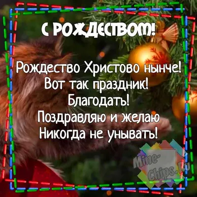 страница 6 | Смешное рождество сублимация Изображения – скачать бесплатно  на Freepik