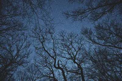 Перелом нижней челюсти: лечение, всегда ли шинируют, симптомы, диагностика