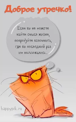 Картинки \"Доброе утро вторника!\" (183 шт.) | Утро вторника, Доброе утро,  Вторник