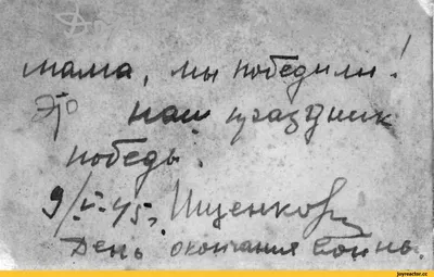 9 мая - День Победы / смешные картинки и другие приколы: комиксы, гиф  анимация, видео, лучший интеллектуальный юмор.