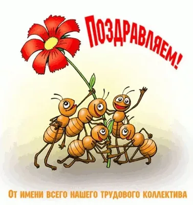 Аудио поздравления - Поздравления с днем рождения, праздниками, юбилеями,  розыгрыши и телефонные приколы!!! ЗДЕСЬ http://goo.gl/F7XcoZ ...