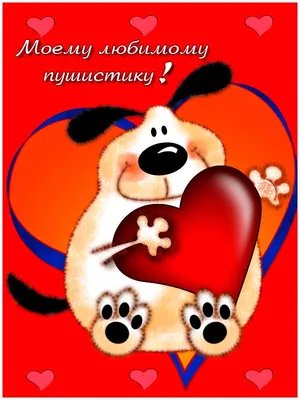 СМС-поздравления с Днем святого Валентина для влюбленных с хорошим чувством  юмора | Українські Новини