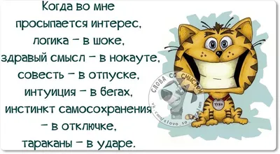 Если нарисовать мем, который обесценивает все другие мемы, обесценит ли  такой мем сам себя? / Экзистенциальные совы :: Смешные комиксы (веб-комиксы  с юмором и их переводы) / смешные картинки и другие приколы: