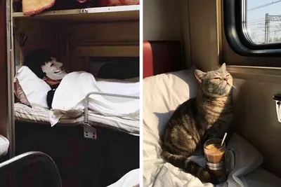 Плацкартная романтика: 10+ смешных фото о путешествиях по России на поезде