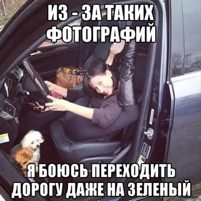 Смешные картинки про водителей (38 фото) - shutniks.com