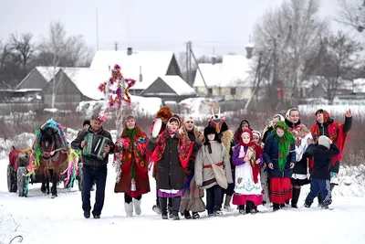 Четыре лапы, два уха, нос и хвост, или Писатели и собаки | Статья |  Culture.pl