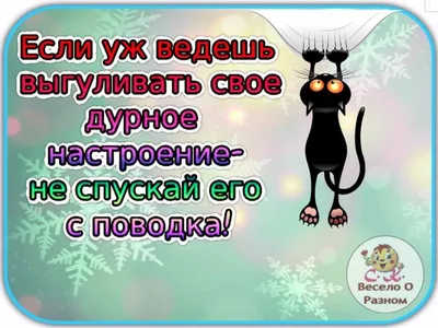 Сет воздушных шаров с надписью Хвалебный № 2 купить с доставкой недорого. -  20754