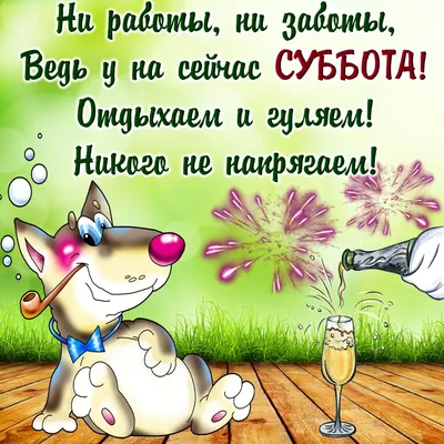 Прикольные картинки \"Утро субботы\" (26 фото) | Смешные высказывания детей,  Субботы, Открытки