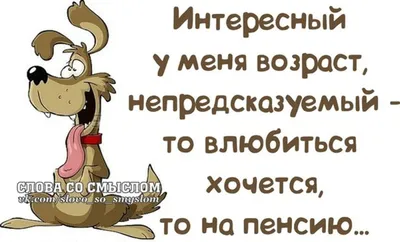 Никогда никому не обясняй, почему ты такая, а не какая-то другая.  \"Патамушта\"! Захотела и такая! -,Патамушт… | Смешные высказывания детей,  Цитаты детей, Работа юмор