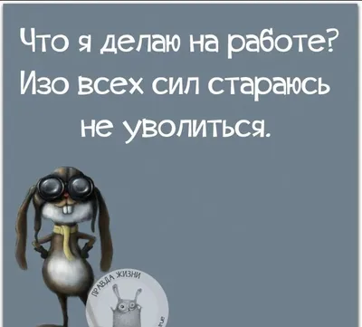 Пин от пользователя наташа спинул на доске прикольные картинки | Смешные  высказывания, Позитивные цитаты, Правдивые цитаты